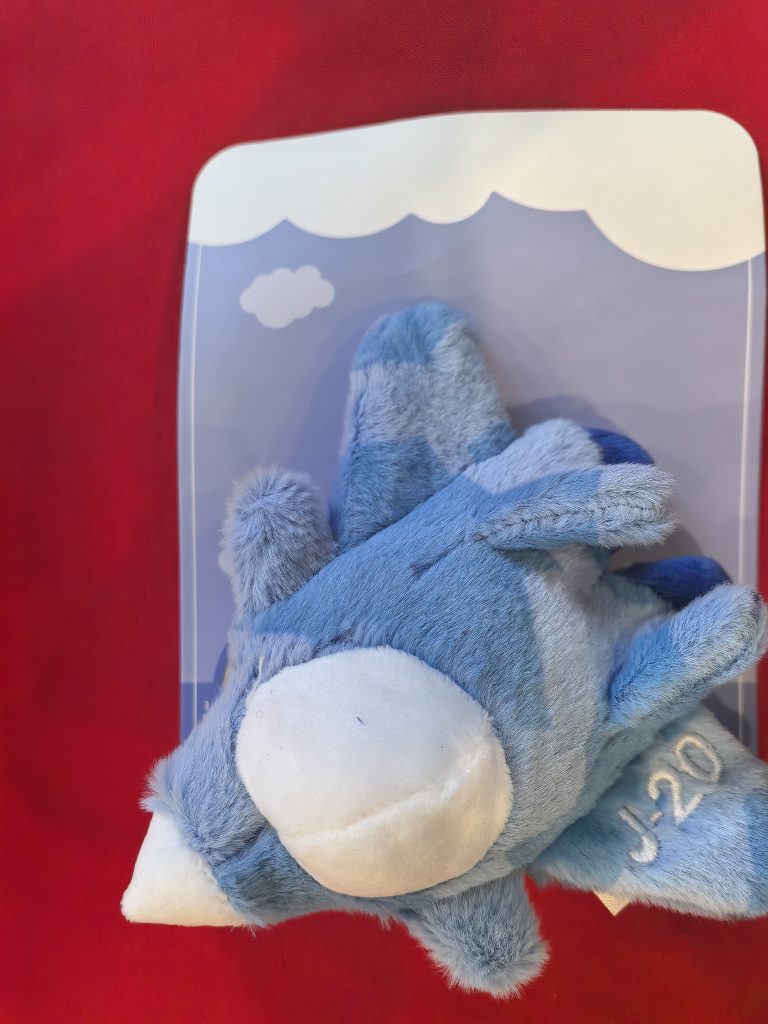 航空文创 - 第21张